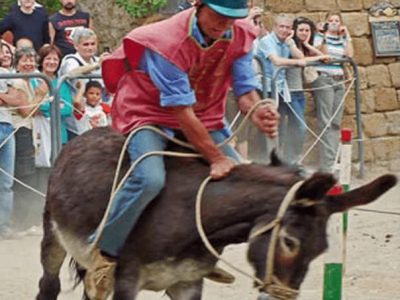PALIO DELLA TONNA PALIO DELLA TONNA